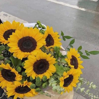 斗牛游戏大厅下载手机版