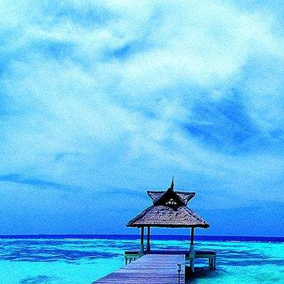 半岛·综合体育APP