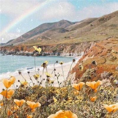 斗牛游戏大厅下载手机版