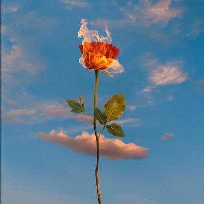 一分极速赛车平台