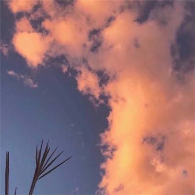 完美电竞平台手机app下载