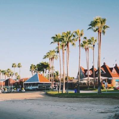 半岛·综合体育APP