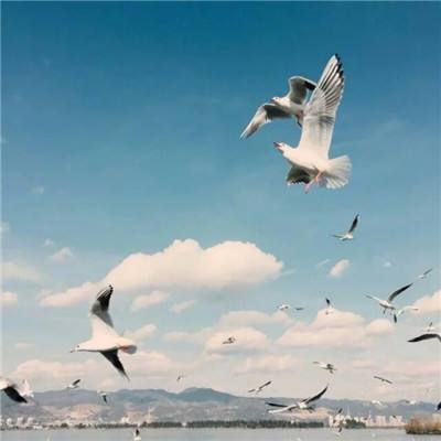 半岛·综合体育APP