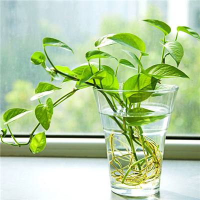 中欧体育app下载官网